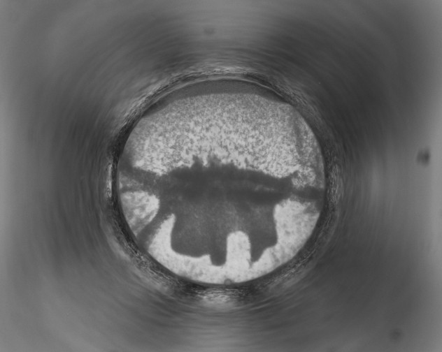 X0000114610358200912010942