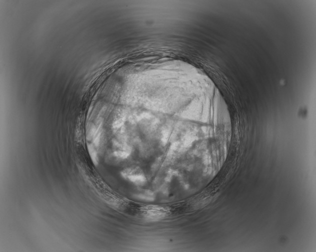 X0000114610359200912010943