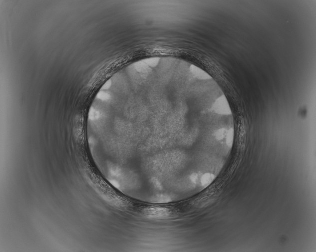 X0000114610361200912010943