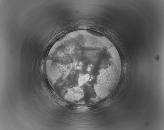 X0000114610363200912010943