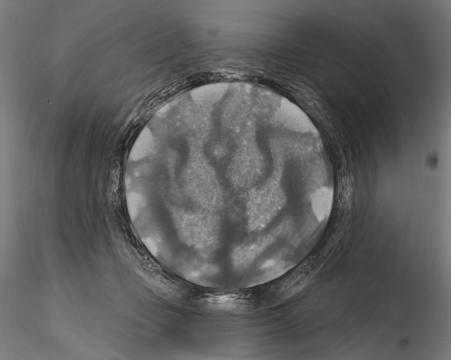 X0000114610365200912010943