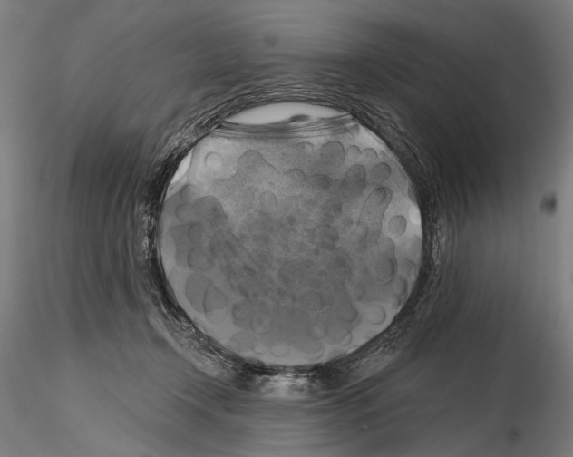 X0000114610366200912010943