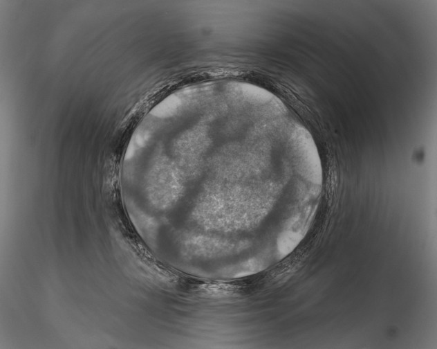 X0000114610367200912010943