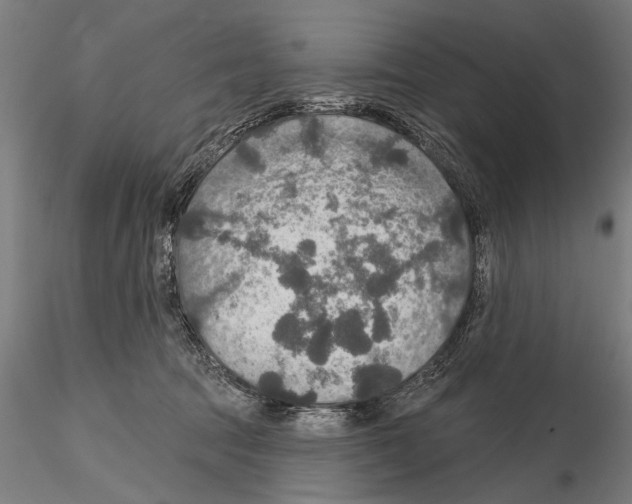 X0000114610369200912010943