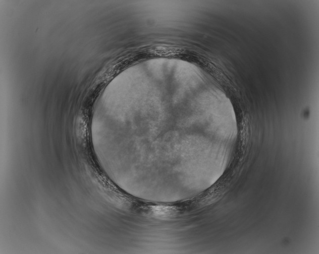 X0000114610371200912010943