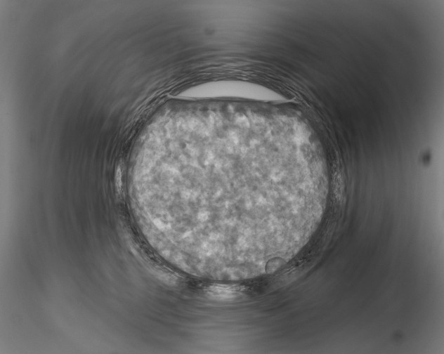 X0000114610375200912010943