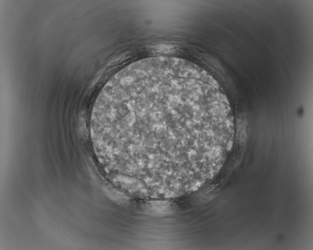 X0000114610377200912010943