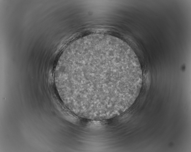 X0000114610381200912010943