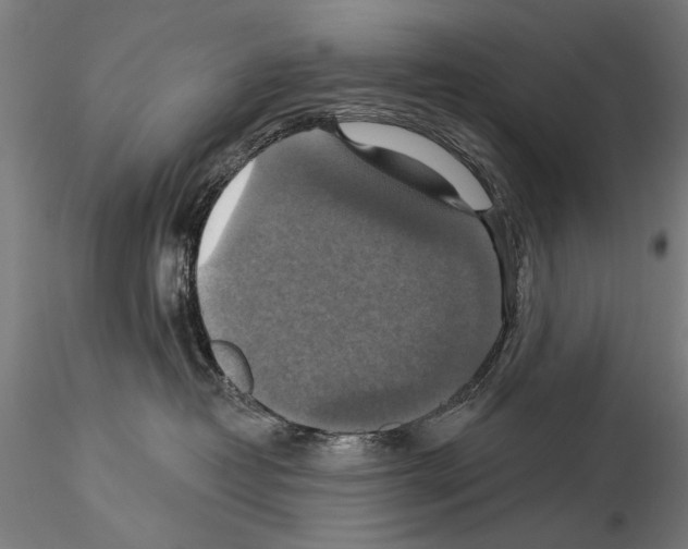 X0000114610382200912010943