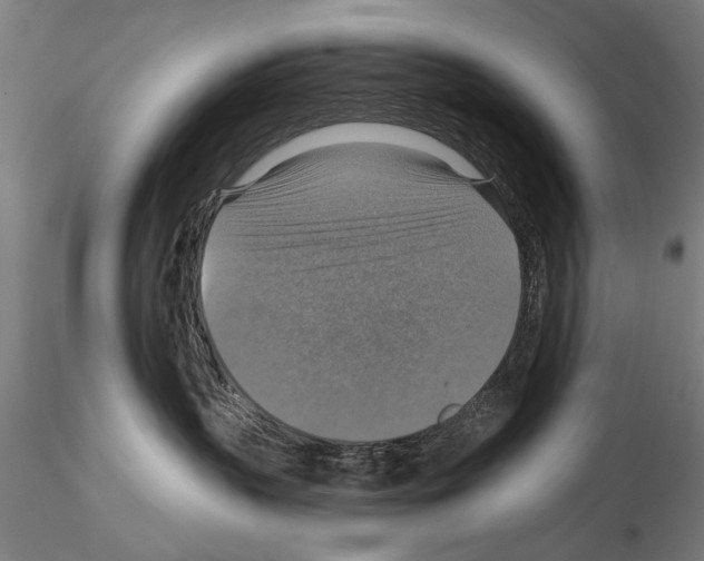 X0000114610383200912010943