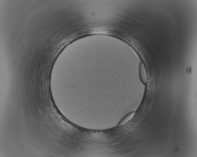 X0000114610385200912010942