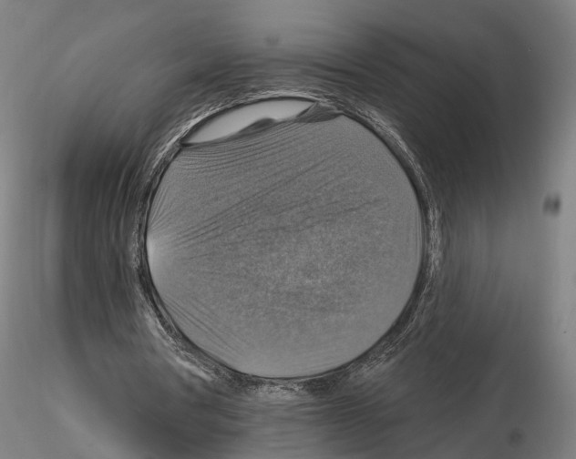 X0000114610386200912010942