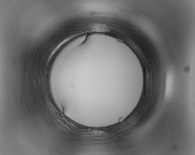 X0000114610387200912010942