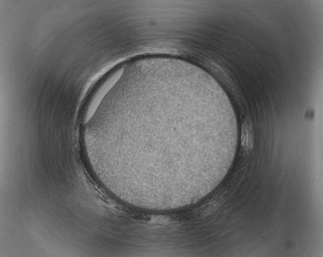 X0000114610388200912010942