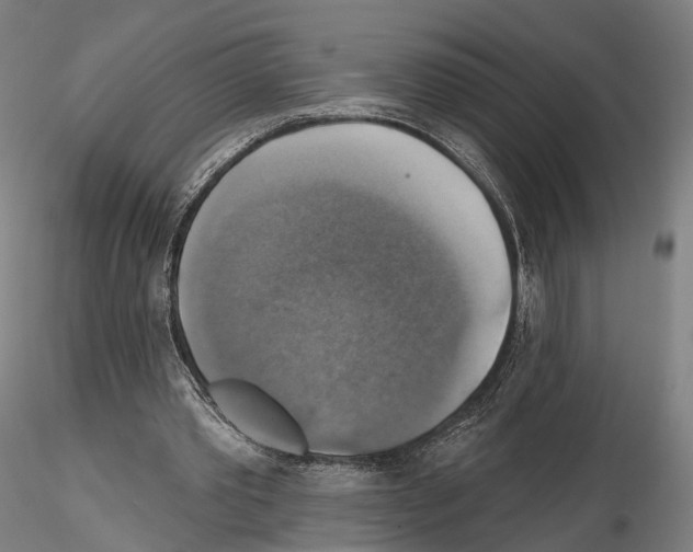 X0000114610389200912010942