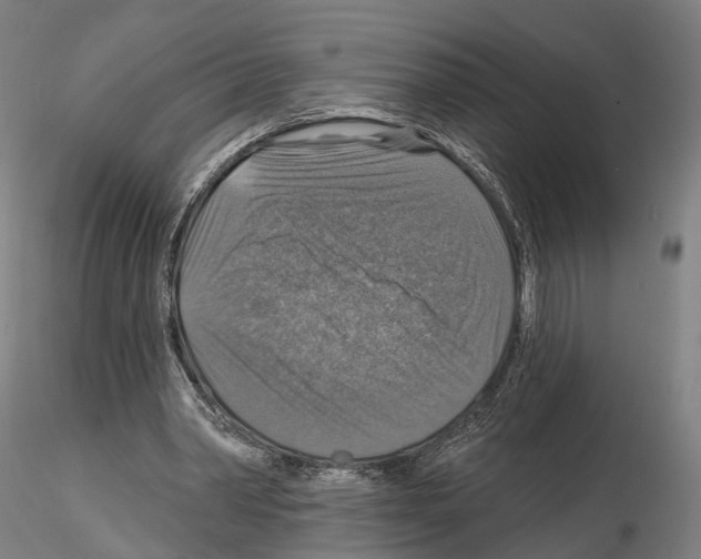 X0000114610390200912010942