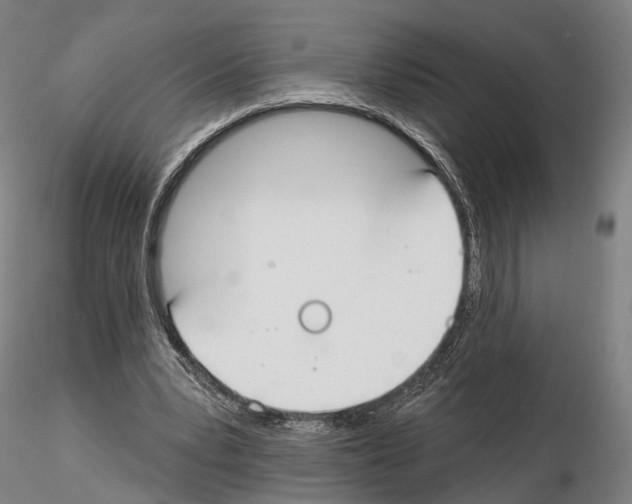 X0000114610391200912010942