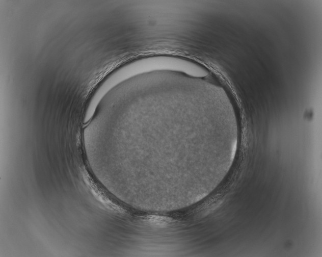 X0000114610393200912010942