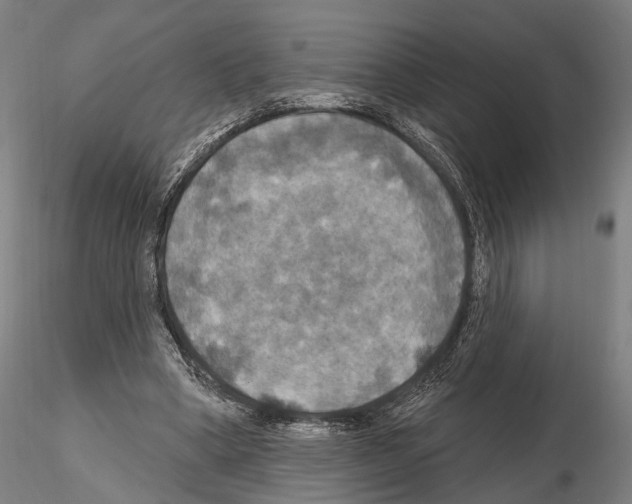 X0000114610394200912010942