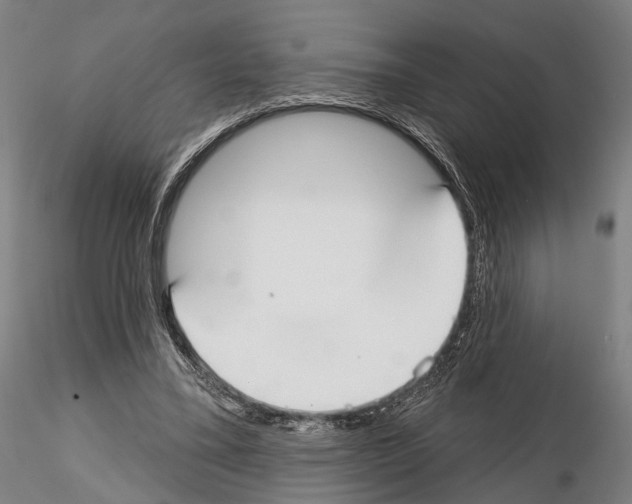 X0000114610395200912010942