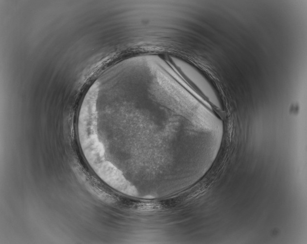 X0000114610398200912010942