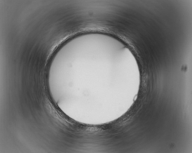 X0000114610399200912010942