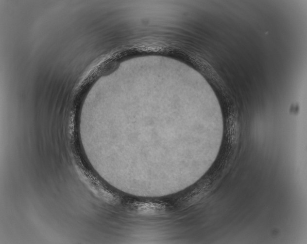 X0000114610400200912010942