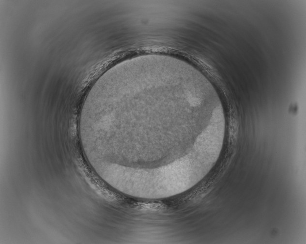 X0000114610401200912010942