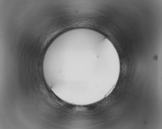 X0000114610403200912010942