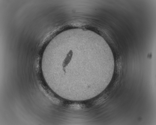 X0000114610404200912010942