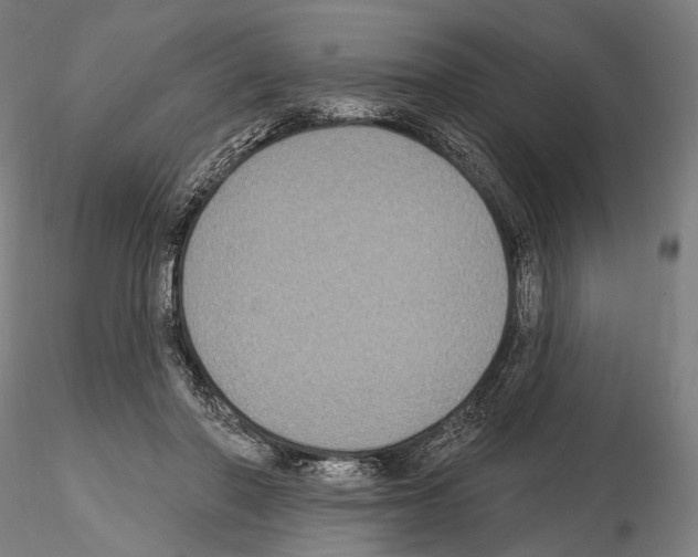 X0000114610406200912010942