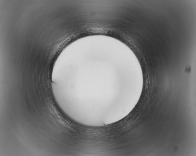 X0000114610407200912010942