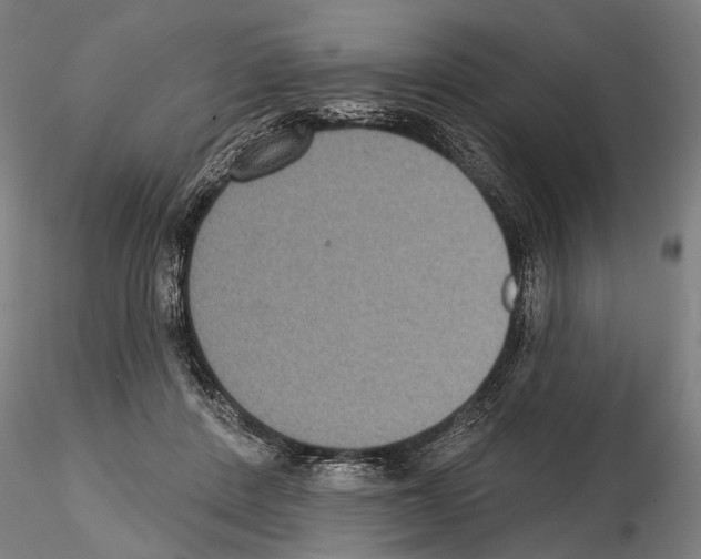 X0000114610408200912010942