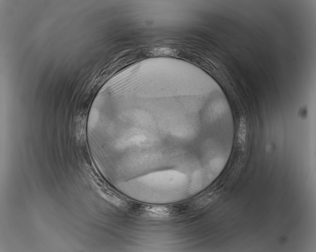 X0000114610409200912010942