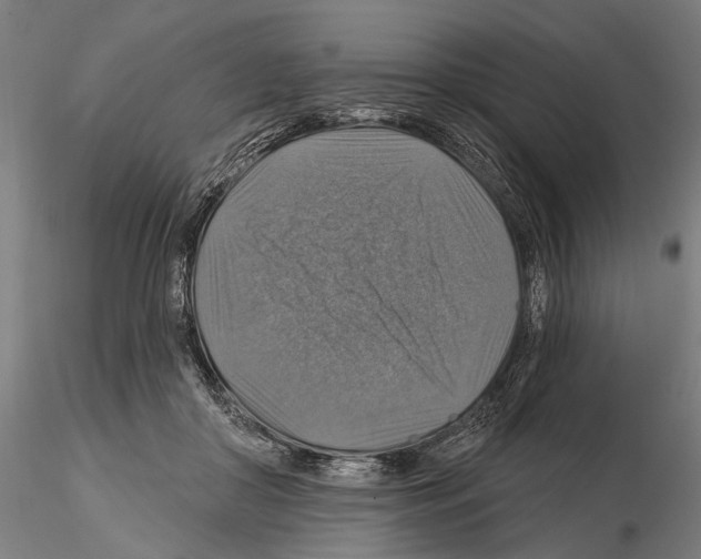 X0000114610410200912010942