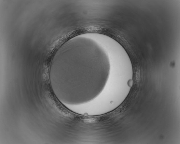 X0000114610411200912010942