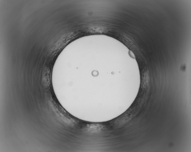 X0000114610414200912010942