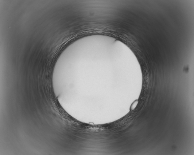 X0000114610415200912010942