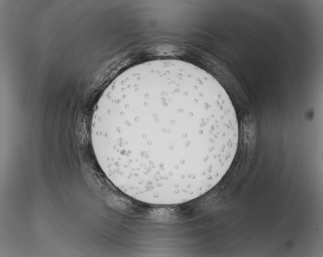 X0000114610422200912010942