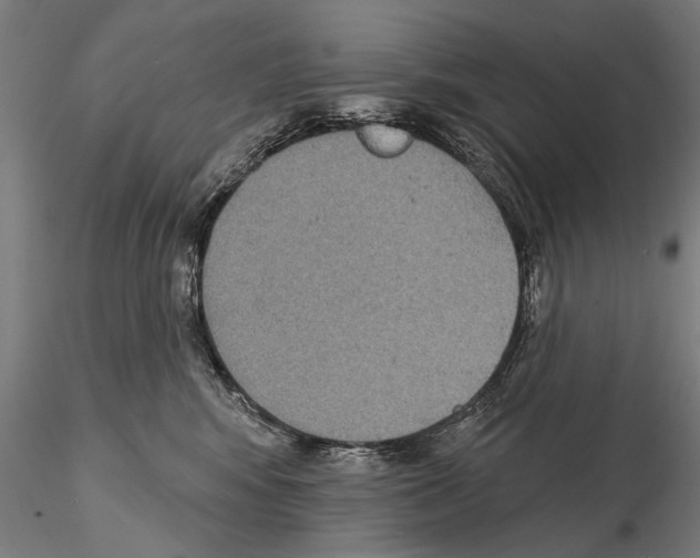 X0000114610424200912010942