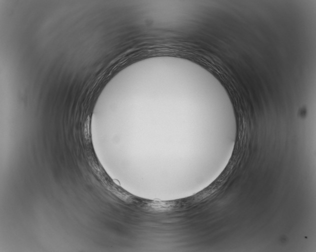 X0000114610425200912010942