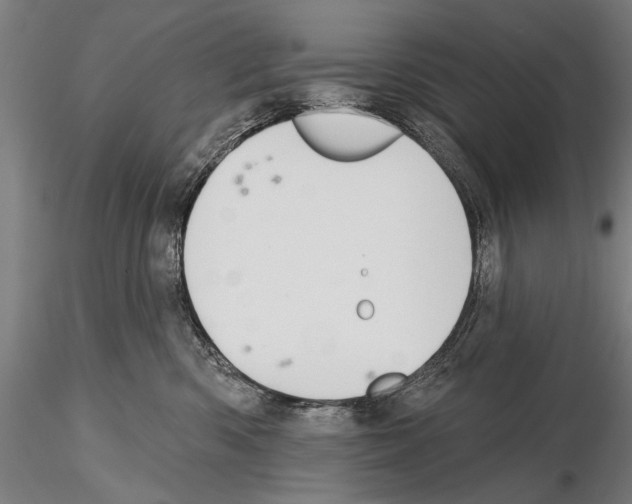 X0000114610426200912010942