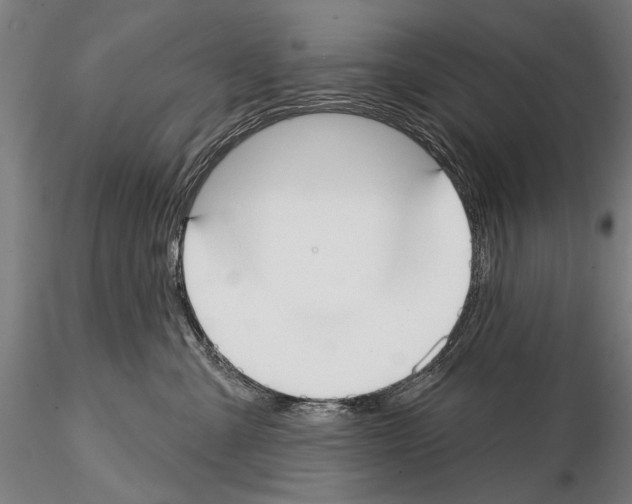 X0000114610427200912010942