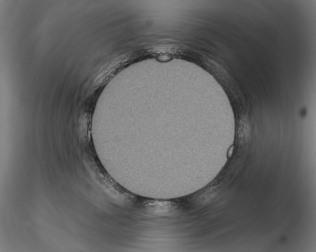 X0000114610428200912010942