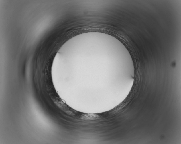 X0000114610429200912010942