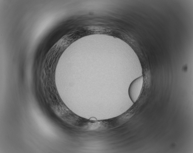 X0000114610430200912010942