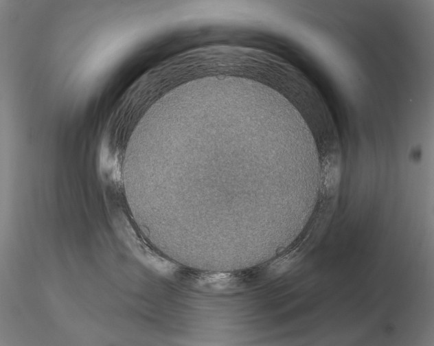 X0000114610431200912010942