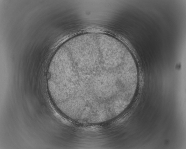 X0000114610433200912010941