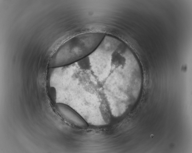 X0000114610434200912010941