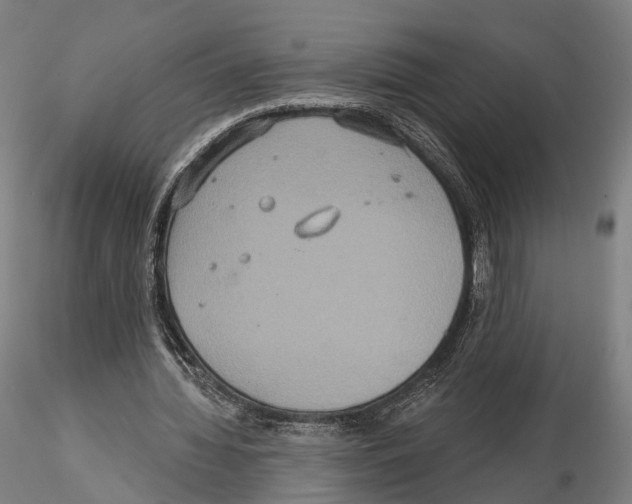 X0000114610436200912010941